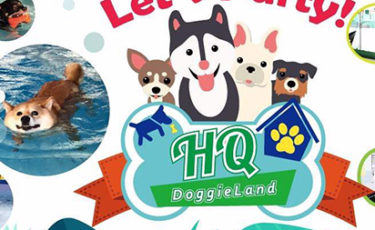 HQ DoggieLand